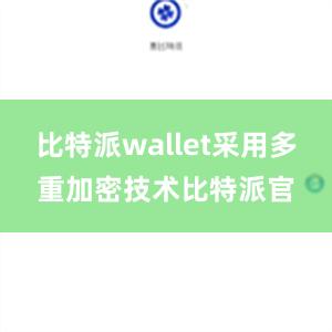 比特派wallet采用多重加密技术比特派官